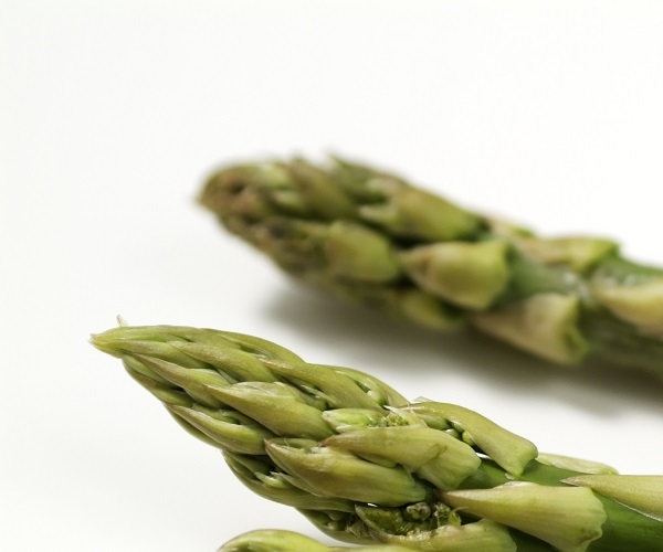 What is asparagus?